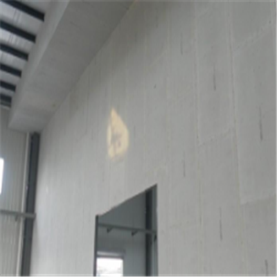 阳曲宁波ALC板|EPS加气板隔墙与混凝土整浇联接的实验研讨